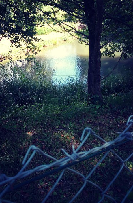 Am stillen Wasser