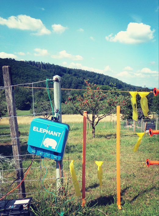 Heimat der Elefanten