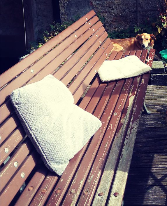 Sommer auf dem Lande